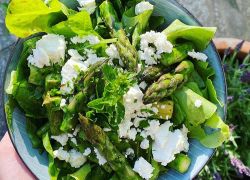 Grüner Salat mit Spargel und Feta