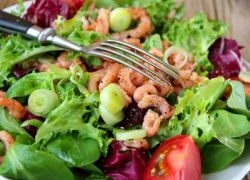 Low Carb Salat mit Flusskrebsen