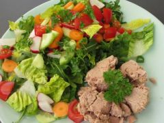 Bunter Low Carb Salat mit Thunfisch