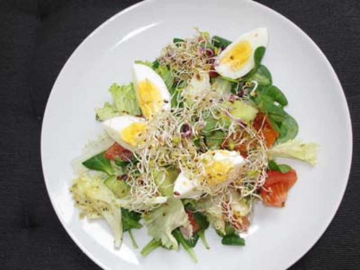 Low Carb Salat mit Sprossen - lowcarbrezepte.org