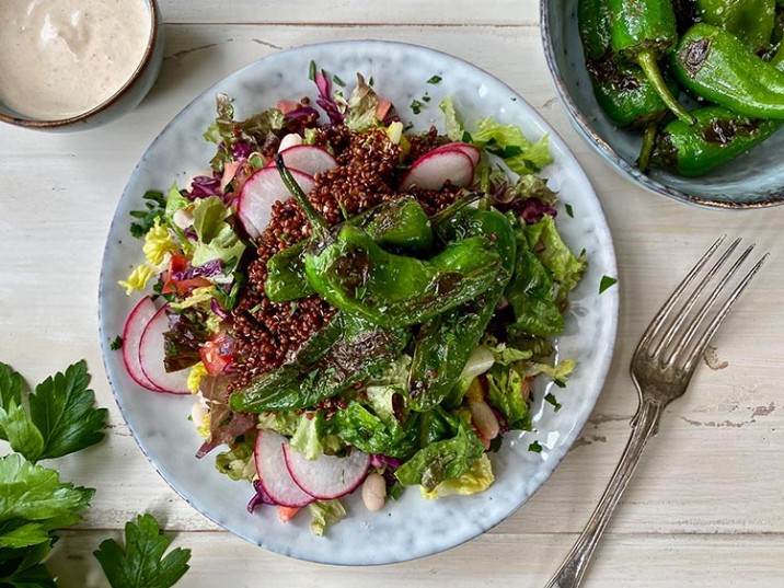 Salat mit Rotkohl, Radieschen und gebratenen Pimientos de Padrón Salat mit Rotkohl, Radieschen und gebratenen Pimientos de Padrón