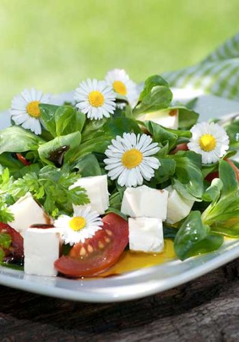 Sommersalat mit Tomaten und Feta
