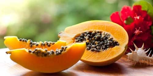 Die Papaya 