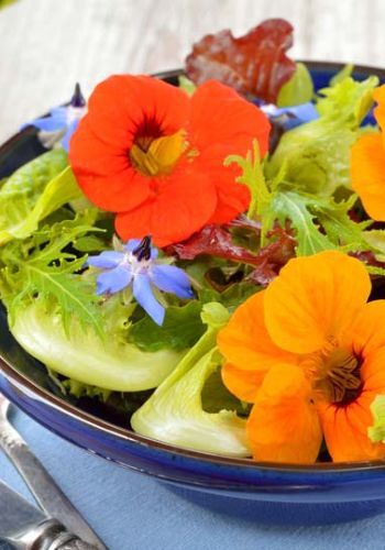 Leichter Sommersalat mit essbaren Blüten