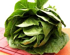 Römersalat