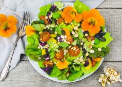 Salat mit gerösteten Protein Flakes