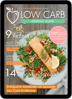 Cover vom Abnehm-Guide auf Tablet
