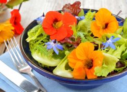 Leichter Sommersalat mit essbaren Blüten