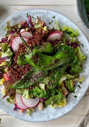 Salat mit Rotkohl, Radieschen und gebratenen Pimientos de Padrón