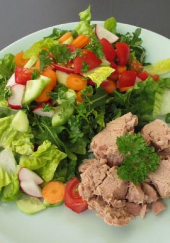 Bunter Low Carb Salat mit Thunfisch