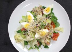 Low Carb Salat mit Sprossen