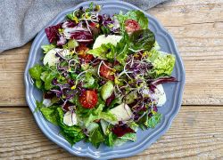 Bunter Salat mit Radicchio und Sprossen