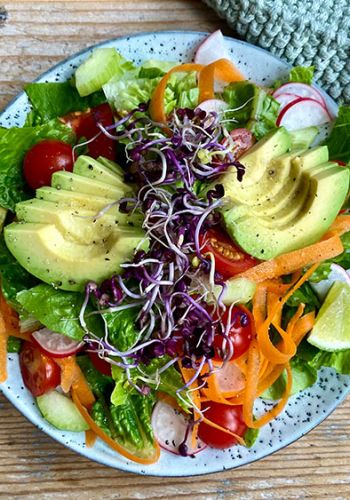 Bunter Salat mit Sprossen